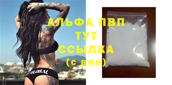 хмурый Аркадак
