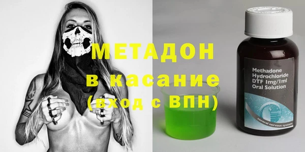 хмурый Аркадак
