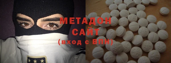 хмурый Аркадак