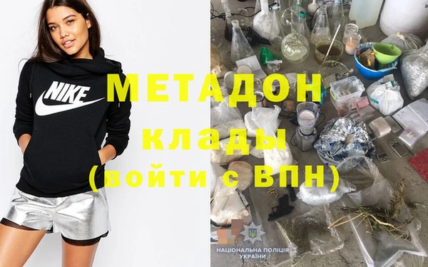 хмурый Аркадак