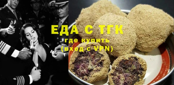 хмурый Аркадак