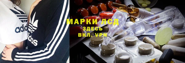 хмурый Аркадак