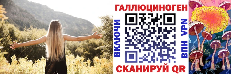 Галлюциногенные грибы Psilocybine cubensis  Ростов 